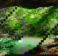 Buderim - Tourism Cairns