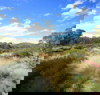 Bullocks walking track - Tourism Cairns