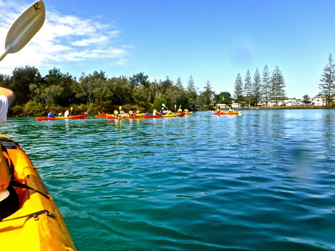Byron Bay River Nature Kayak Tour - Tourism Cairns 0
