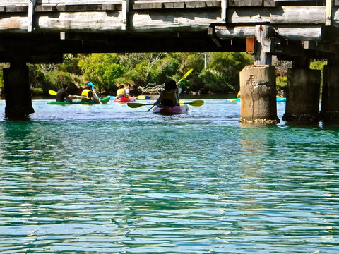 Byron Bay River Nature Kayak Tour - Tourism Cairns 1