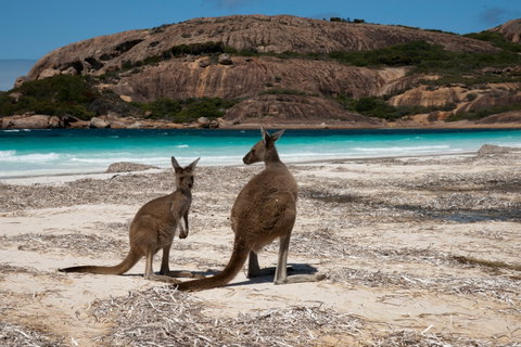 Cape Le Grand National Park - Tourism Cairns 0
