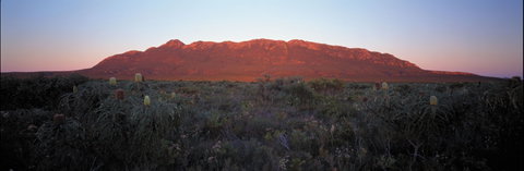 Cape Arid National Park - Tourism Cairns 2
