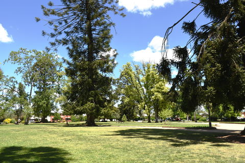 Collins Park - Tourism Cairns 2
