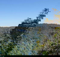 Cooks Nose Walking Track - Tourism Cairns