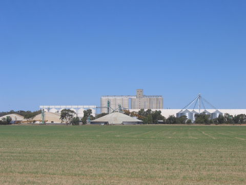 Co-operative Bulk Handling (CBH) Wheat Storage And Transfer Depot - Tourism Cairns 1