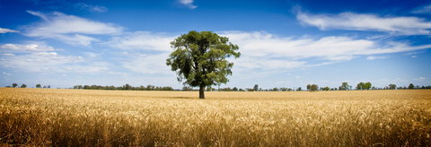 Coonamble - Tourism Cairns 1