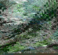 Corn Trail - Tourism Cairns