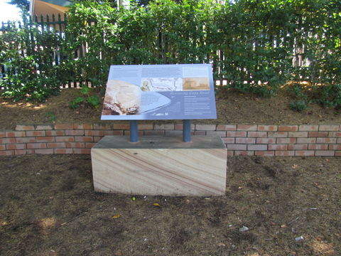 Coxs Road Interpretive Trail - Tourism Cairns 0