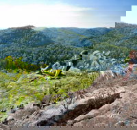 Dubbo Gully Loop Trail - Tourism Cairns
