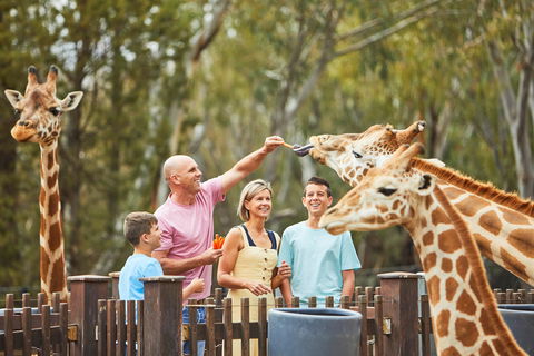 Dubbo - Tourism Cairns 0