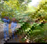 Endeavour Fern Gully Walks - Tourism Cairns
