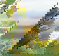 Flavours of the Porongurup Range Trail - Tourism Cairns