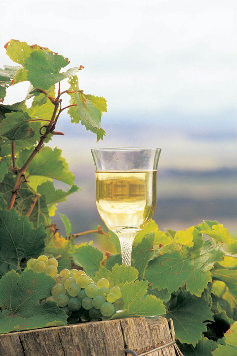 Flavours Of The Porongurup Range Trail - Tourism Cairns 0