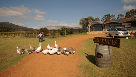 Flavours Of The Porongurup Range Trail - Tourism Cairns 2