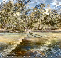 Flea Creek Picnic Area - Tourism Cairns