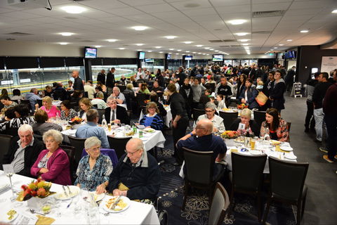 Geelong Greyhound Racing Club - The Beckley Centre - Tourism Cairns 1