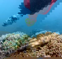Geoffrey Bay Snorkel Trail - Tourism Cairns