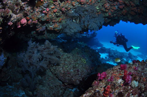 Hutchinson Shoal Dive Site - Tourism Cairns 0