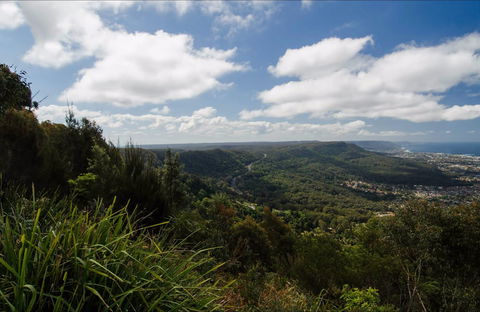 Illawarra Escarpment State Conservation Area - Tourism Cairns 0