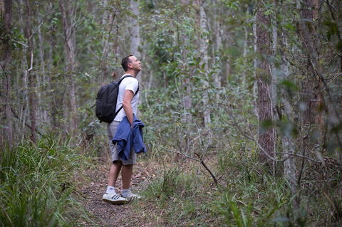 Ironbark Ridge And Spotted Gum Walking Trails - Tourism Cairns 2