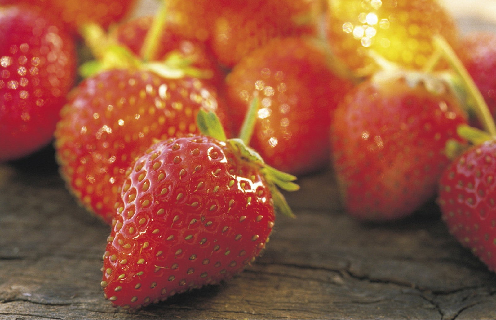 Lambs Valley NSW Tourism Cairns