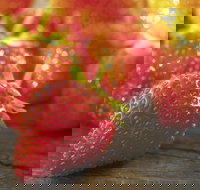 Lambs Valley - Tourism Cairns