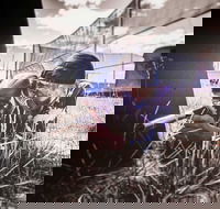 Luddenham Raceway Paintball - Tourism Cairns