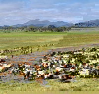 Marlborough - Tourism Cairns