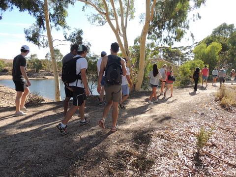 Merredin Railway Dam - Tourism Cairns 1