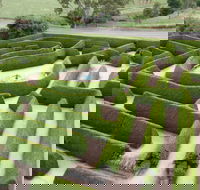 Mintaro Maze - Tourism Cairns
