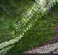 Morisset - Tourism Cairns