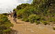 Mountain Biking Trails - thumb 0