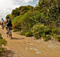 Mountain Biking Trails - Tourism Cairns