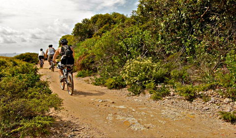 Mountain Biking Trails - Tourism Cairns 0