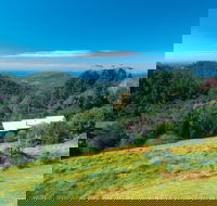 Mount Glorious - Tourism Cairns