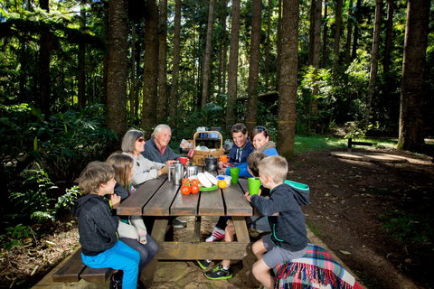 Mount Yarrahapinni Lookout - Tourism Cairns 1