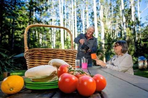 Mount Yarrahapinni Lookout - Tourism Cairns 2