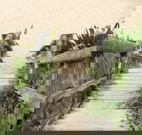 Pebbly Beach to Snake Bay walking track - Tourism Cairns