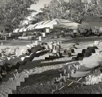 Pioneer Park - Tourism Cairns