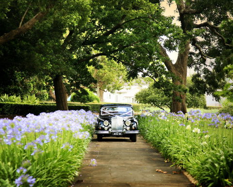 Queens Park, Toowoomba - Tourism Cairns 2