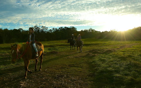 Scenic NSW Horse Riding Centre - Tourism Cairns 0