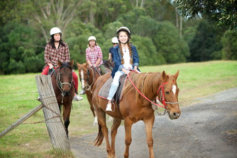 Scenic NSW Horse Riding Centre - Tourism Cairns 2