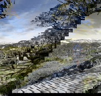 Snow Gums boardwalk - Tourism Cairns