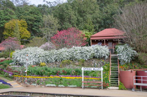 Spring Bluff Railway Station - Tourism Cairns 1