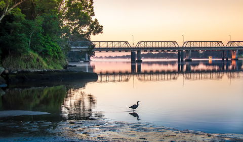 The Grotto Walk - North Nowra - Tourism Cairns 1
