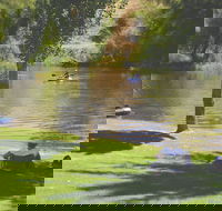 The Lions Junction Park - Tumut - Tourism Cairns
