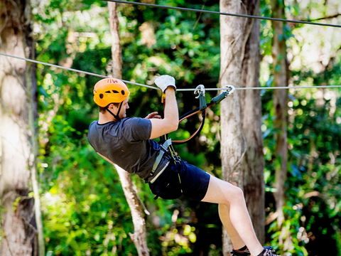 TreeTop Challenge Currumbin Wildlife Sanctuary - Tourism Cairns 0