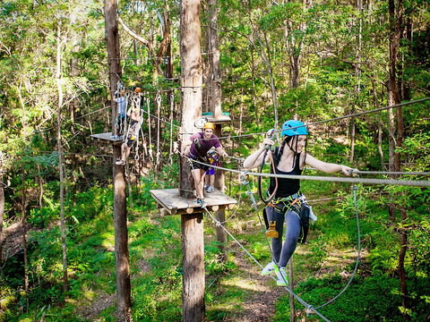 TreeTop Challenge Currumbin Wildlife Sanctuary - Tourism Cairns 1
