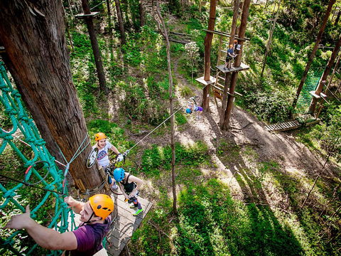 TreeTop Challenge Currumbin Wildlife Sanctuary - Tourism Cairns 2