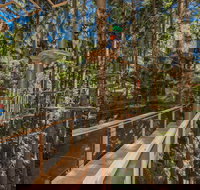 TreeTops Sydney The Hills - Tourism Cairns